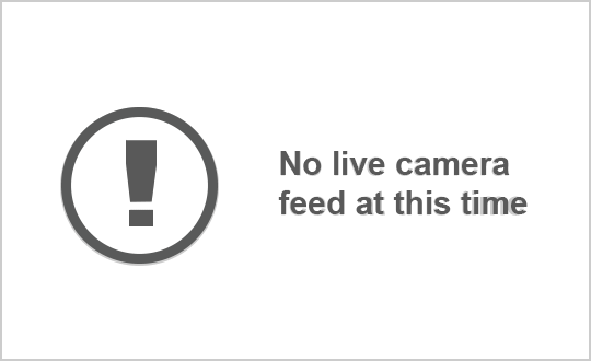 Traffic Cam office  - Test